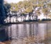 Pohled na rybník č.1